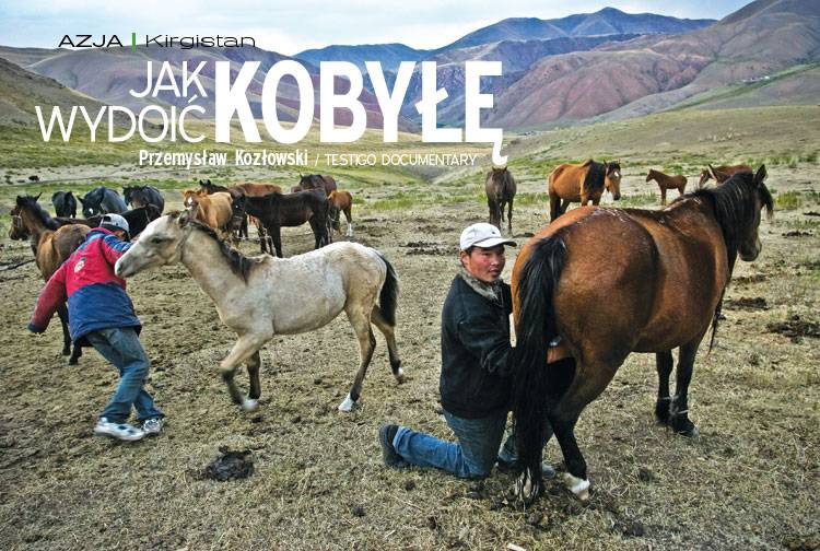 Losowy darmowy artykuł